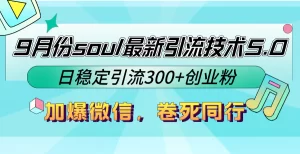 【2024.9.28】9月份soul最新引流技术5.0，日稳定引流300+创业粉，加爆微信，卷死同行-网创之家